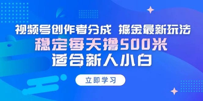 【蓝海项目】视频号创作者分成 掘金最新玩法 稳定每天撸500米 适合新人小白-网赚项目