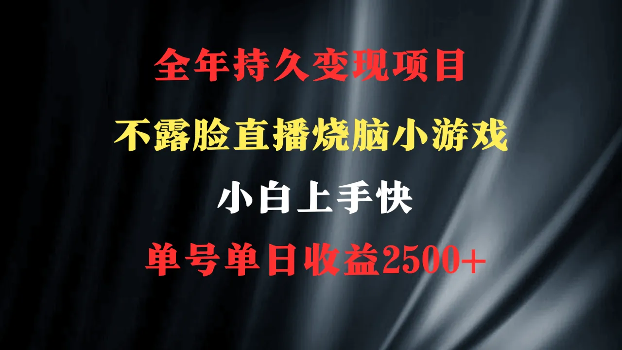 2024年 最优项目，烧脑小游戏不露脸直播 小白上手快 无门槛 一天增收更多-网赚项目