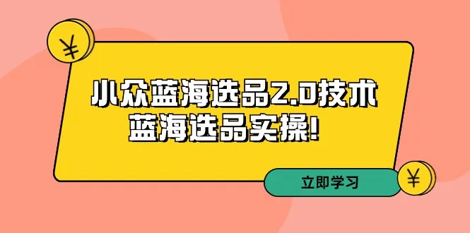 深度解析：拼多多培训第33期小众蓝海选品2.0技术及实操方法-网赚项目