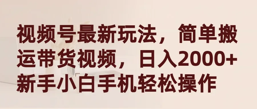 视频号带货新趋势解析：挖掘日收入更多 的简单操作秘籍-网赚项目