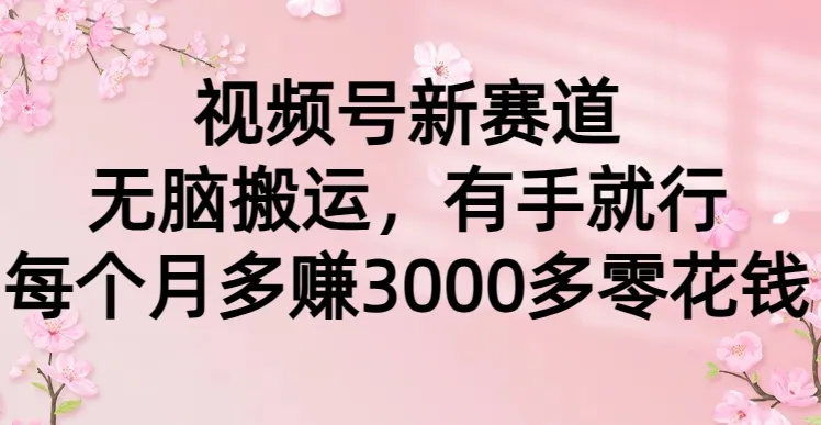 视频号新赛道：无脑搬运，轻松增收更多多零花钱方法揭秘-网赚项目