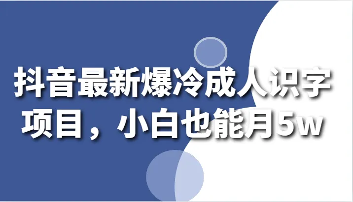 探索抖音最新成人识字项目：轻松增收月收入更多元的秘密方法-网赚项目