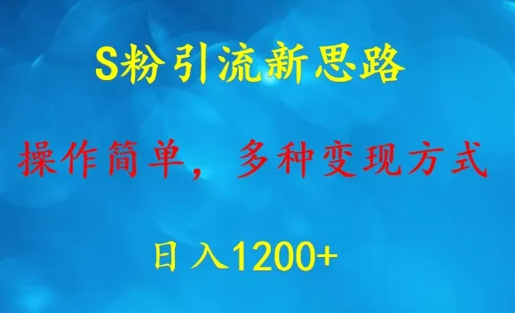 探索S粉引流新思路：简易操作、多元变现，日收入更多 指南-网赚项目