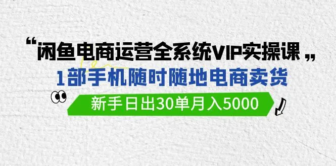 闲鱼电商运营全系统VIP实战课：1部手机成就5000月增，新手必修指南！-网赚项目