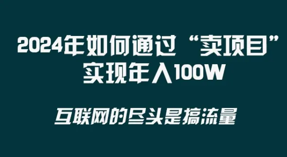 掌握‘卖项目’技巧，实现年入*万！2024年最新赚钱秘籍揭秘！