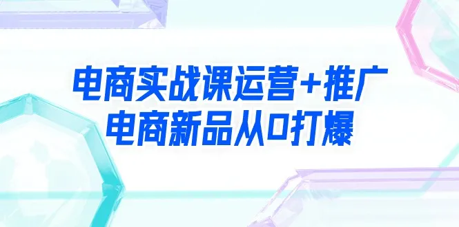 掌握电商运营推广技巧，从零打造爆款新品！-网赚项目