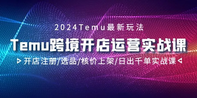 掌握跨境电商运营的关键技巧：2024 Temu实战课程详解-网赚项目