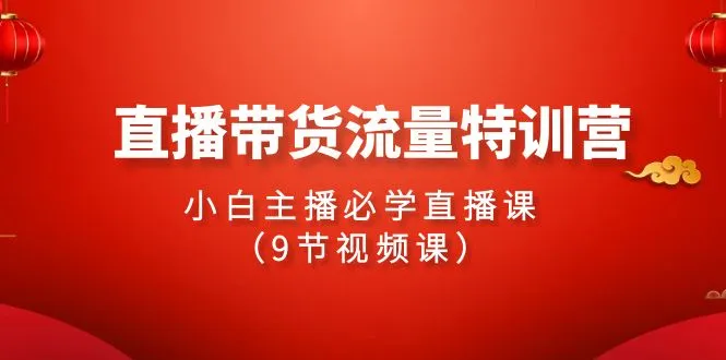 2024直播带货流量特训营：小白主播必学直播技巧课程