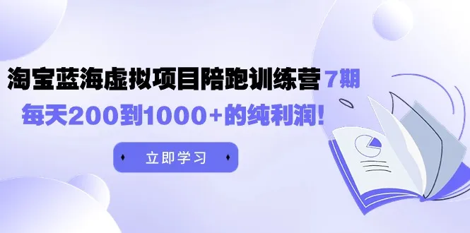 淘宝店铺蓝海战略：如何实现日收入不断攀升到1000 纯利润-网赚项目