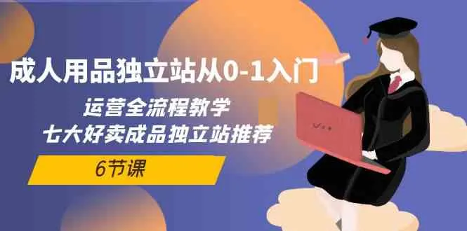 成人用品网站运营全攻略：从零到一的独立站建设与运营实战指南-网赚项目