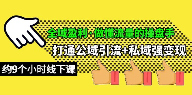 成为全域盈利专家：解密公域引流与私域变现的商业技能-网赚项目