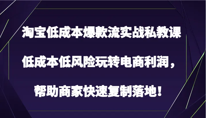 打开电商利润新境界：探秘低成本爆款流实战私教课-网赚项目