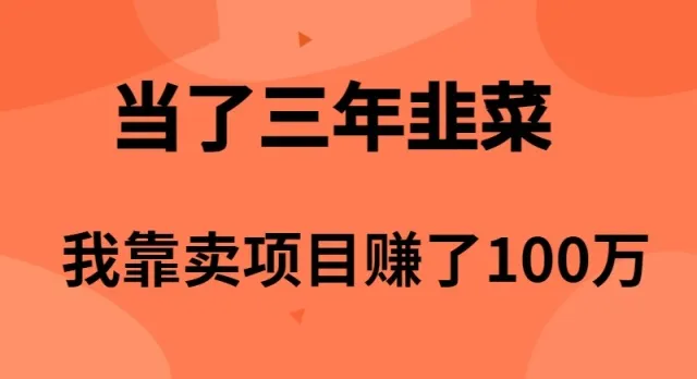 揭秘：从“韭菜”到*万年收入的项目卖家之路-网赚项目