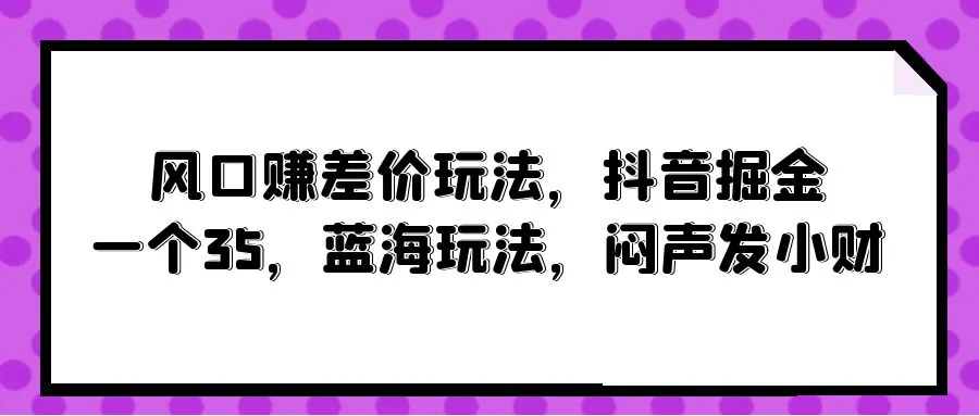 揭秘抖音赚钱新秘籍：巧用风口玩法，蓝海掘金，35创业闷声发财-网赚项目