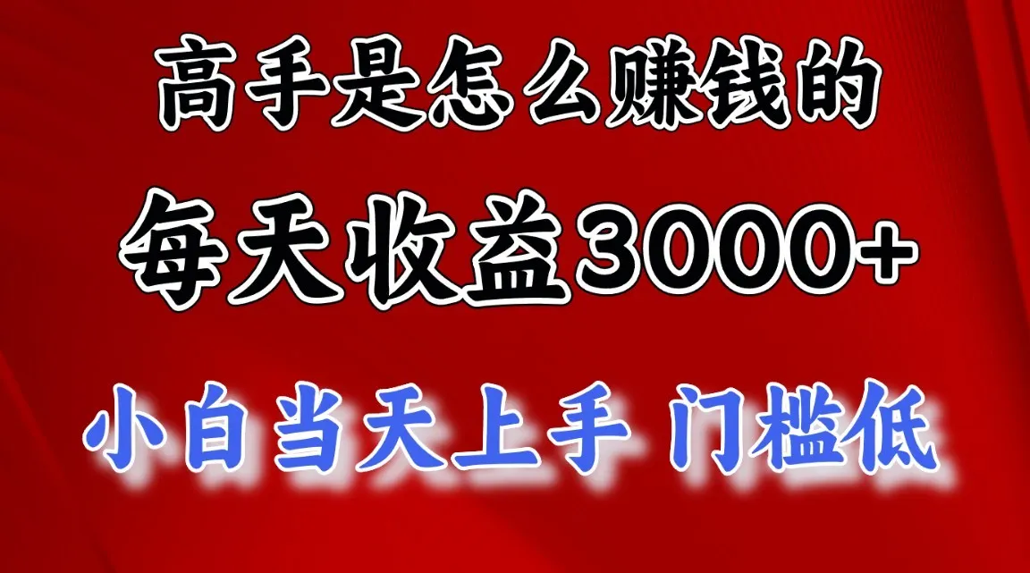 揭秘高手独家项目：零门槛、稳定收益，小白当天上手！-网赚项目