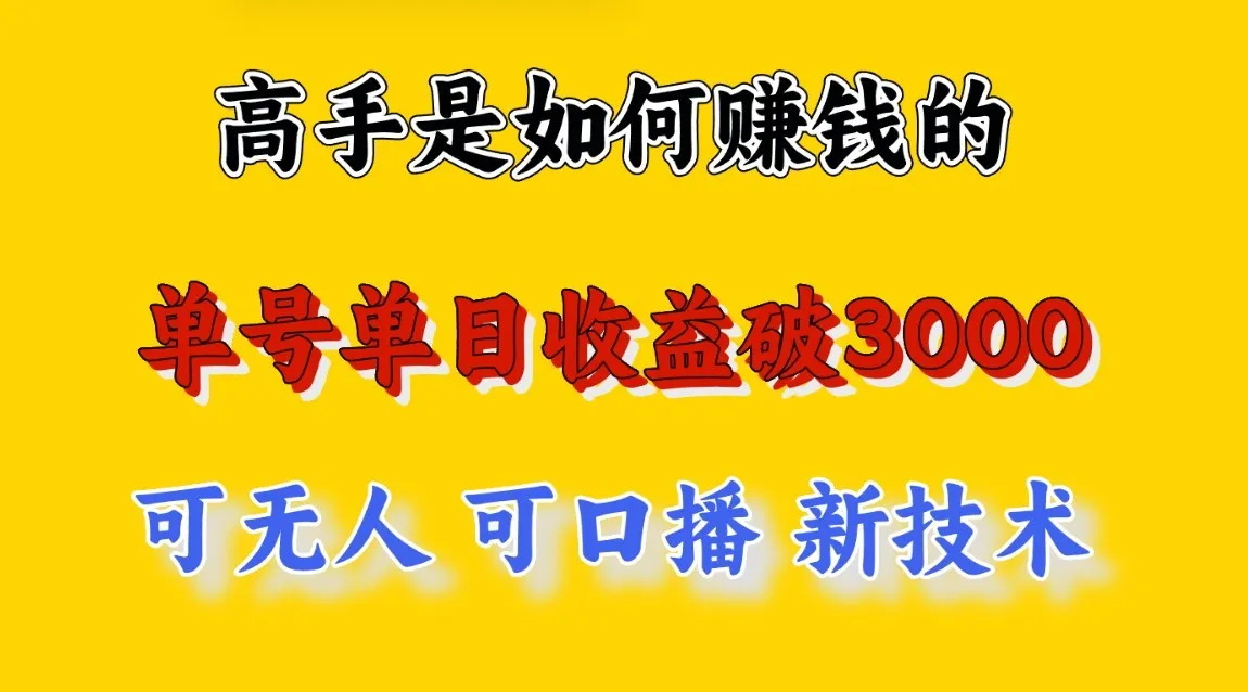 揭秘高手如何赚钱：3000 收益项目，穷人的翻盘机会！-网赚项目