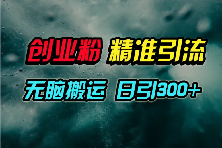 揭秘视频号纯搬运引流创业秘籍，每日轻松获客300 ！-网赚项目