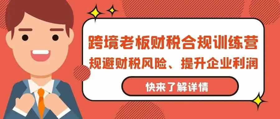 跨境电商财税合规训练营：规避风险、提升利润的必备指南-网赚项目