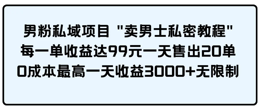 男士私密教程：突破传统收入瓶颈，每日轻松赚取更多！-网赚项目