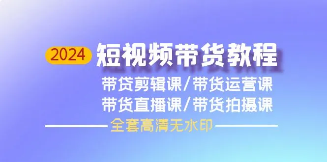 2024年最新短视频带货教程：打造你的创业新风口-网赚项目