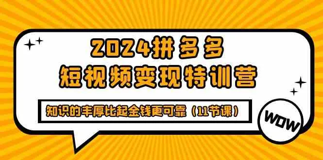 拼多多短视频变现特训营：掌握技巧，实现知识与财富的双丰收-网赚项目