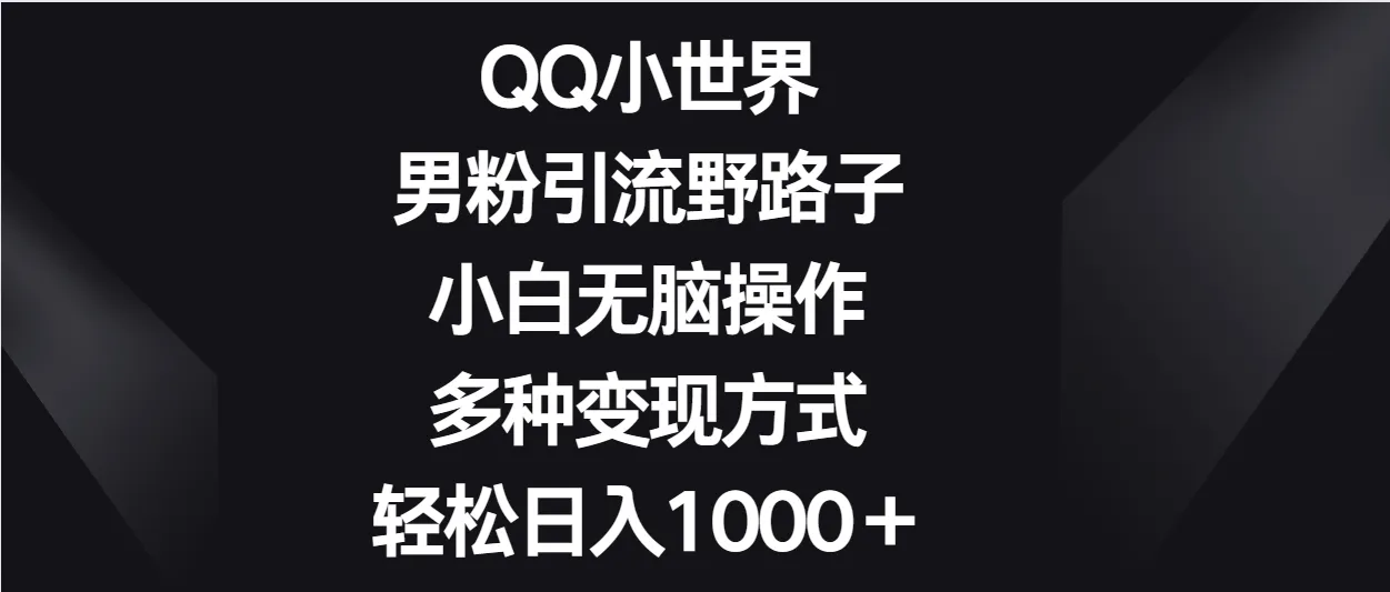 QQ小世界男粉引流秘籍：小白轻松月增更多-网赚项目