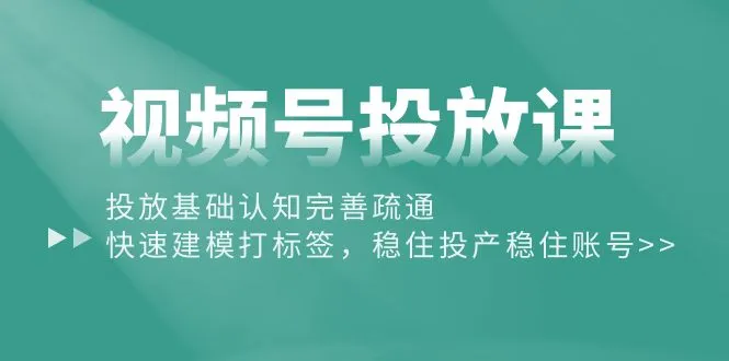 视频号投放课程：精准打造稳健账号的秘诀揭秘-网赚项目