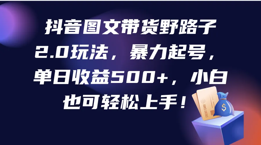 探索抖音图文带货野路子2.0，单日收入不断攀升 ，小白也能轻松上手！-网赚项目