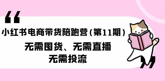 探索小红书电商带货：无囤货、无直播、无投流的新商机！-网赚项目