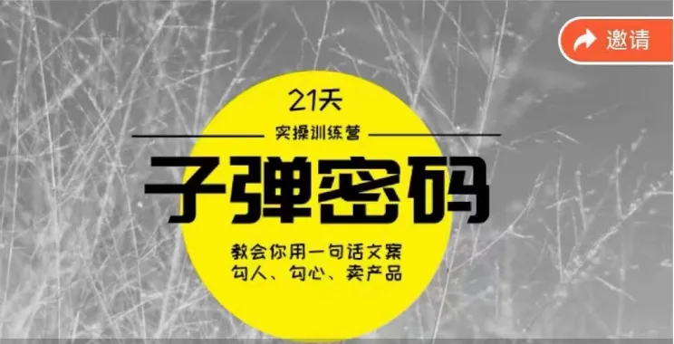 21天子弹密码训练营：成为顶尖文案大师的秘密策略与技巧-网赚项目