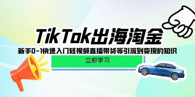 TikTok新手0-1快速入门：从短视频引流到变现的全链路运营指南-网赚项目