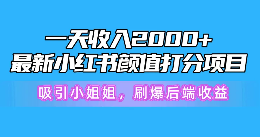 小红书颜值打分项目：月增收更多的新商机揭秘-网赚项目