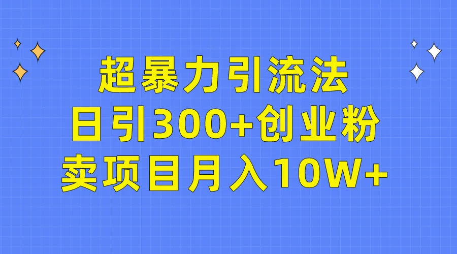 掌握超暴力引流法，实现日引300 创业粉，月收入更多 ！-网赚项目