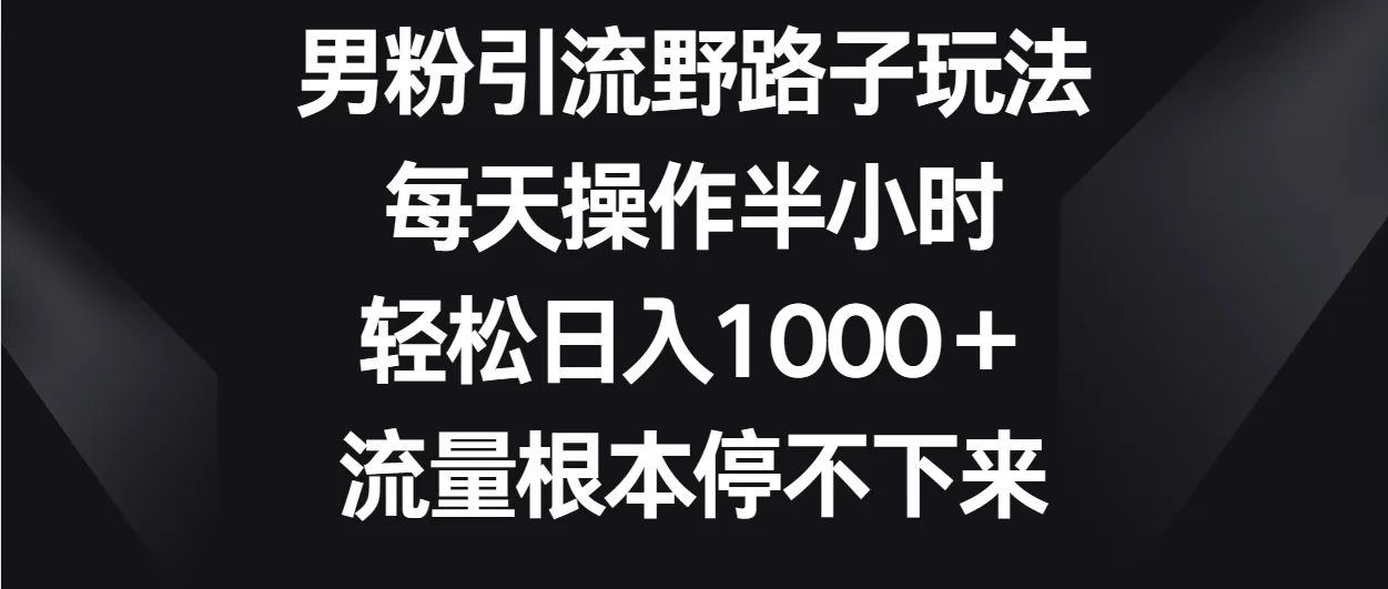 掌握男粉引流技巧，每日只需半小时，获利能力增强 ，流量源源不断-网赚项目