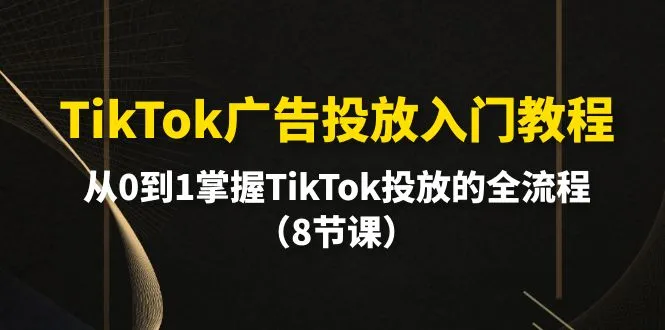 掌握TikTok广告投放全流程：从零到一的实操指南-网赚项目