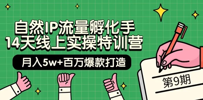 掌握自然IP流量孵化技巧的14天特训营，助您打造月收入更多 *万爆款-网赚项目