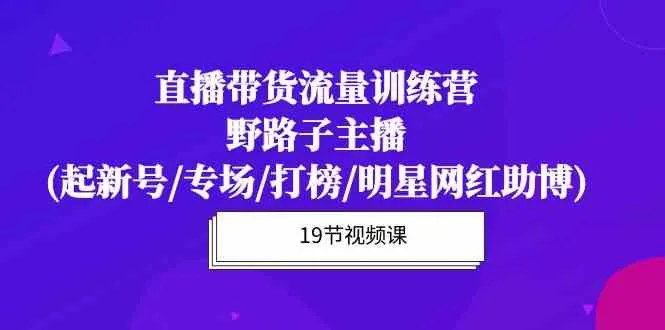 直播带货流量特训营：解锁野路子主播的成功密码-网赚项目