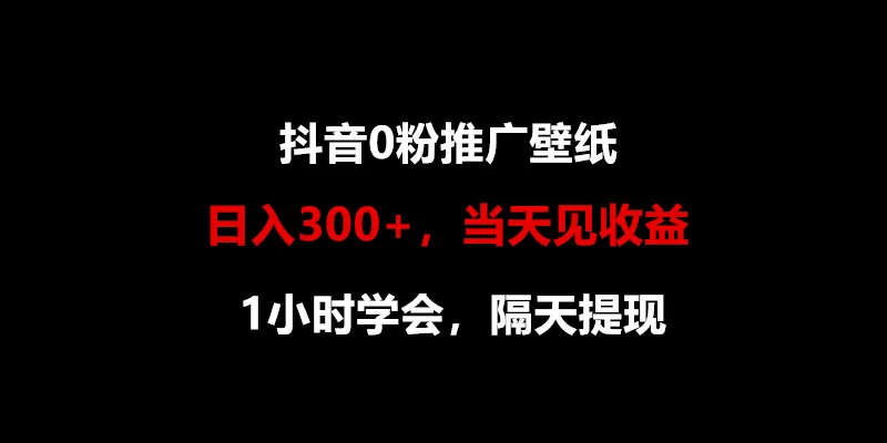 抖音0粉推广秘籍：1小时学会，轻松赚取收益的壁纸营销指南-网赚项目