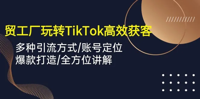 Tiktok营销策略：全方位助外贸工厂高效获客-网赚项目