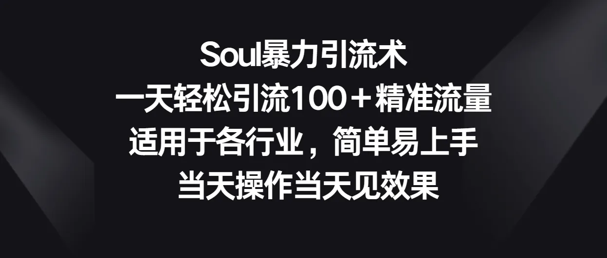 掌握Soul引流术：轻松吸引100 精准流量，适用于各行业，简单易上手！-网赚项目