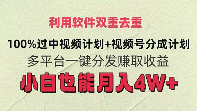 如何利用软件双重去重，实现视频平台月入多增