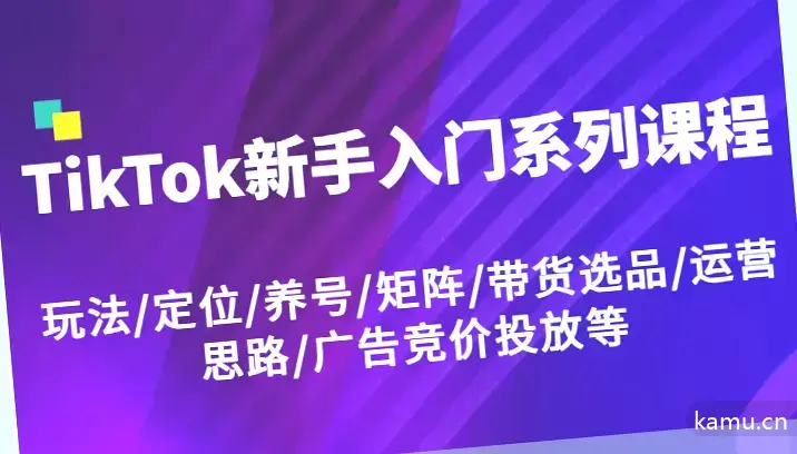 TikTok新手入门系列视频课程：玩法、定位、养号、矩阵、带货选品、运营思路、广告竞价投放详解